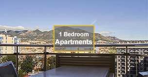 foto_apartamento_1_dormitorio-ingles