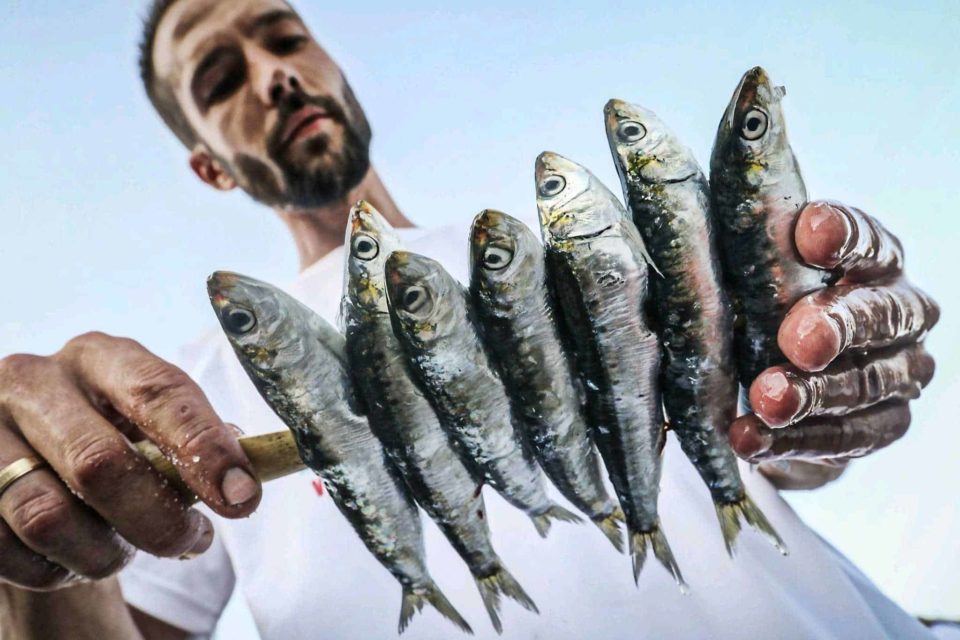 espetos de sardinas malaga costa del sol fuengirola los mejores