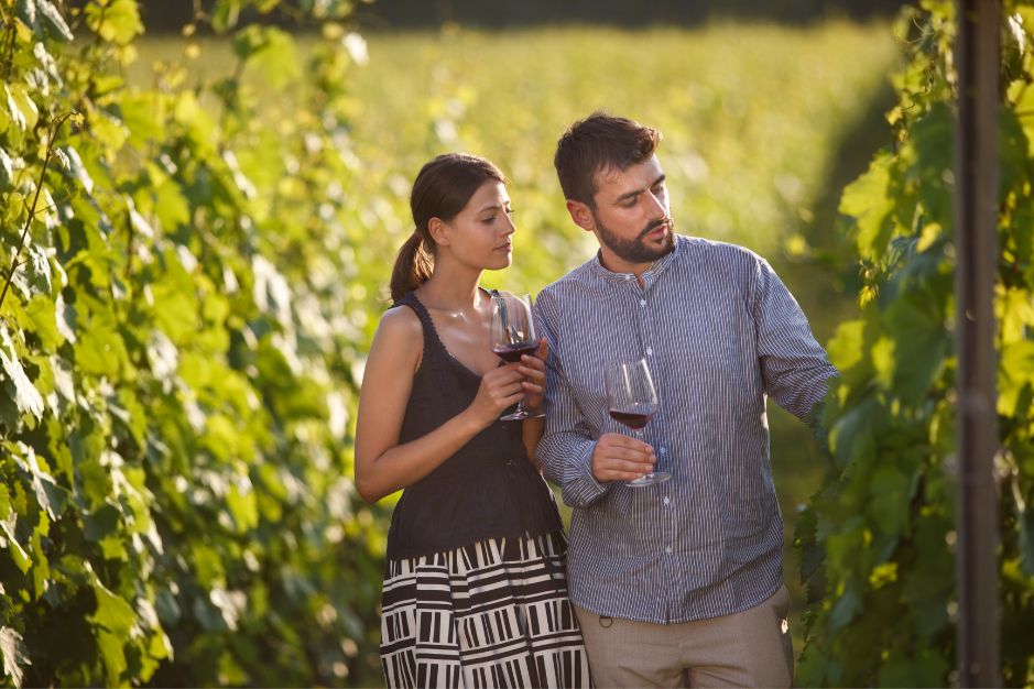 Enoturismo en Málaga Costa del Sol vino de Málaga Apartamentos mediterraneo real