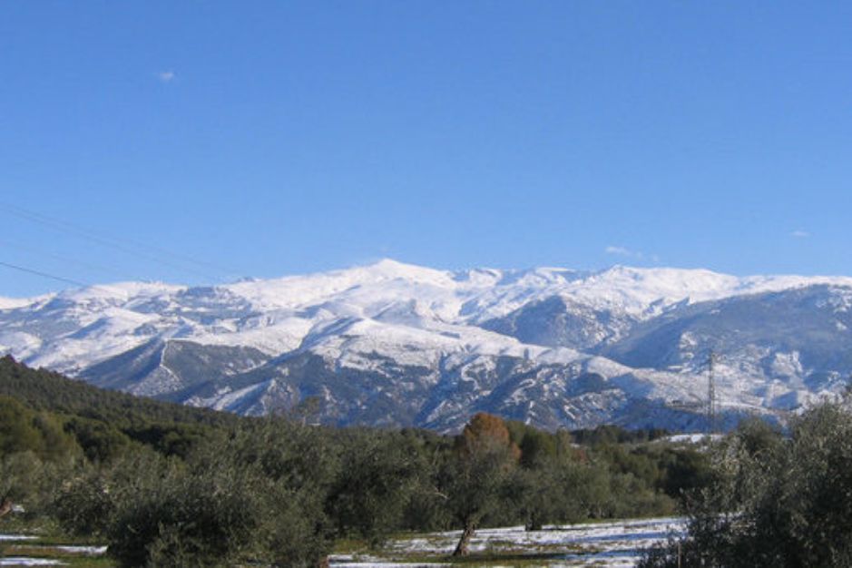descubre sierra nevada desde la costa del sol apartamentos mediterraneo real fuengirola