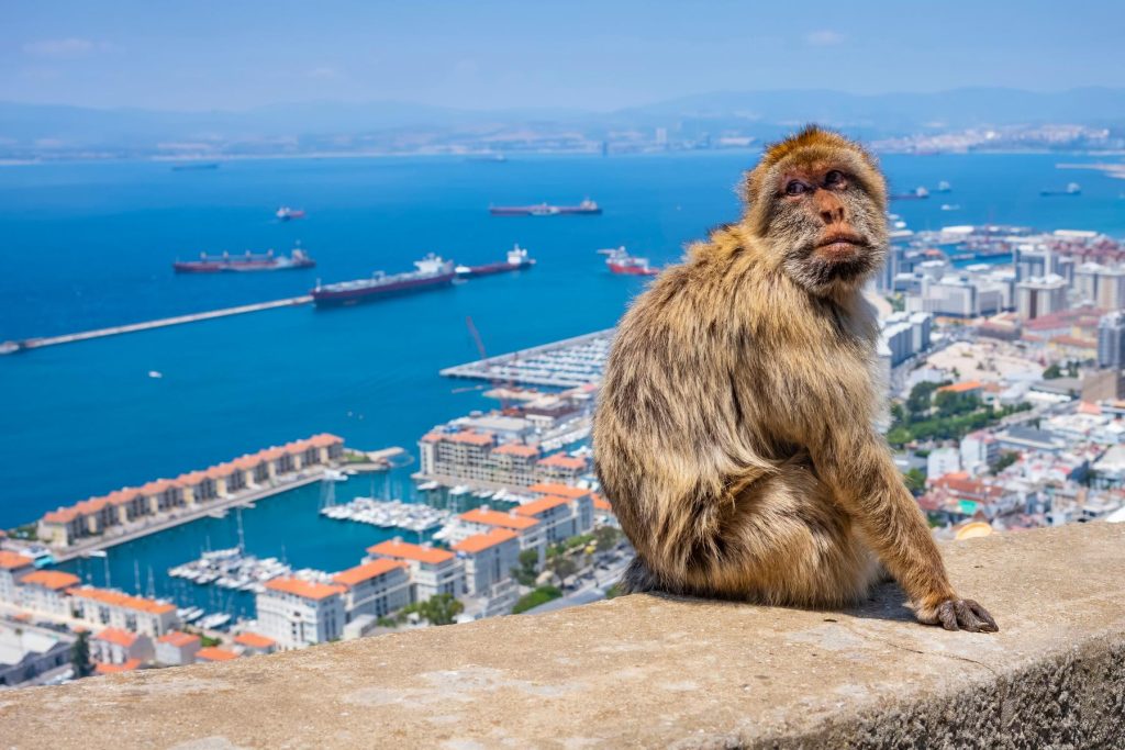 que ver en gibraltar apartamentos mediterraneo real fuengirola costa del sol
