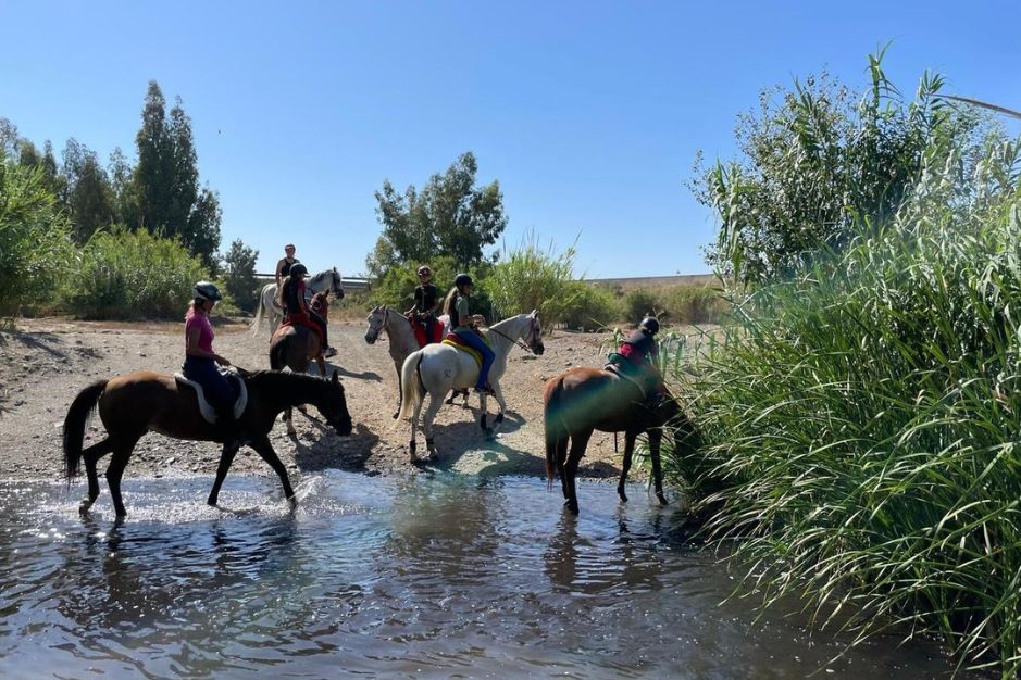 Paseos a Caballo en la Costa del Sol Apartamentos Mediterraneo real Fuengirola (2)